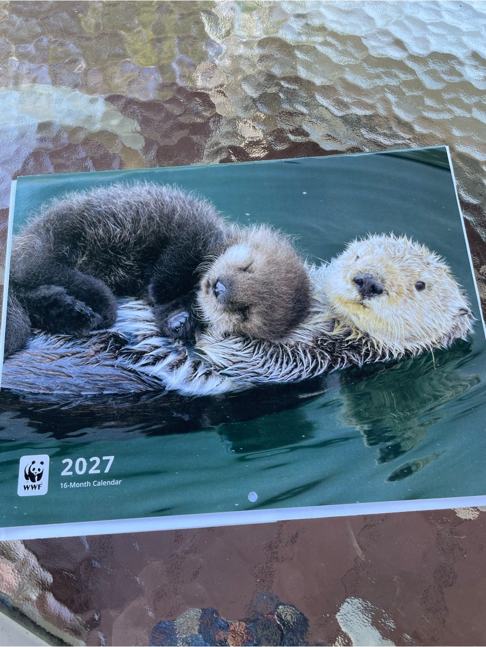 2027 Wildlife Critters Wall Calendar with 2026 Q4 page